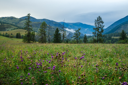 Mountains meadows and clouds in summer.の写真素材