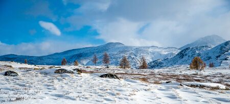Snow hills, yellow trees and shadows in the mountains on backgroundの写真素材
