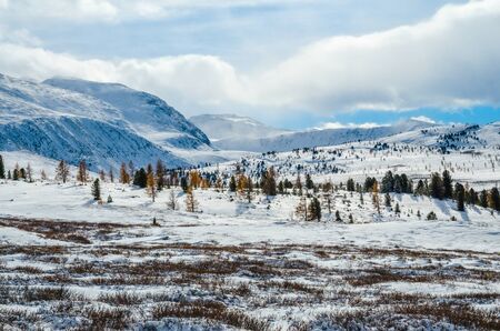 A dry grass and on a snow field and a clouds and mountains on backgroundの写真素材