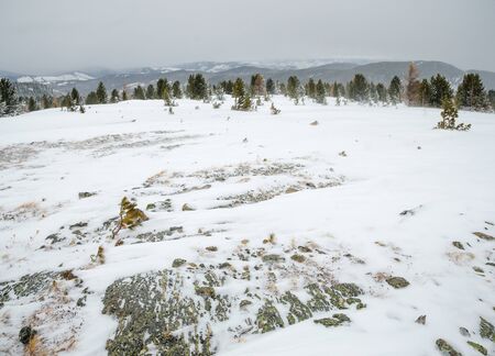 A stone hill in the snow and a far forest and mountainsの写真素材