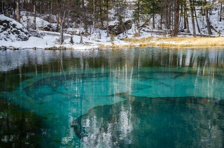 Turquoise lake in a winter forestの写真素材
