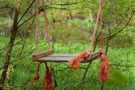 Wooden swing hanging on a rope in the forest. horizontal photoの写真素材