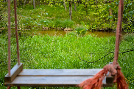 Wooden swing on the green meadow near the river in summerの写真素材