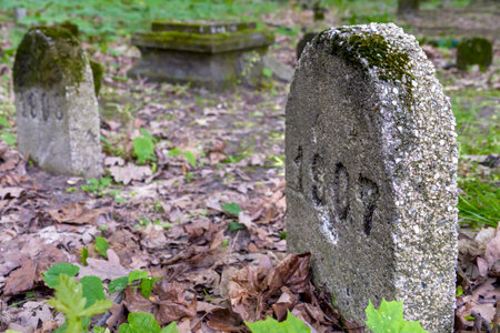 Old tombstones in a forest memorial park in the springtime.の写真素材