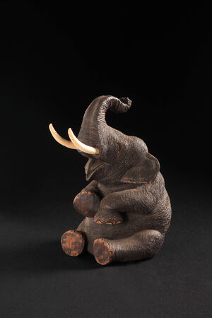 elephantの写真素材