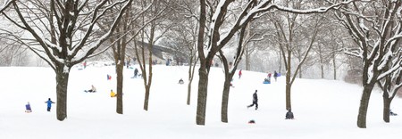 People sledding on a wooded hillの写真素材