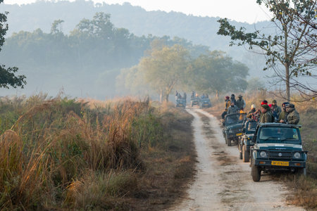 Jim corbett national park, Ramnagar, Uttarakhand, India - December 7, 2020 - wildlifers driver guides on gypsy or jeep lined up waiting for tiger sighting in winter morning safari at dhikala forestのeditorial素材