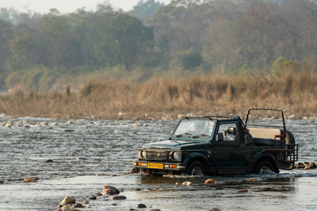 Jim corbett national park, Ramnagar, Uttarakhand, India - February 7, 2022 - wildlife safari or scenic game drive gypsy or jeep half in water of ramganga river crossing dhikala forest or tiger reserveのeditorial素材