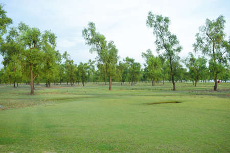 This so much green place is actually a seaside beach in Chattagram,Bangladeshの写真素材