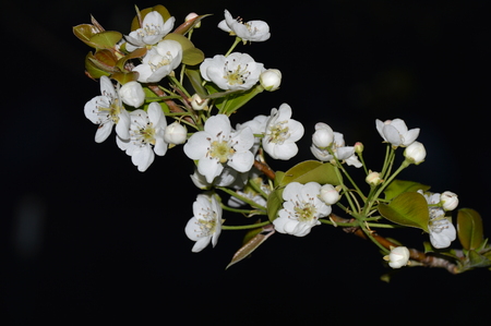 Spring is in the Airの写真素材