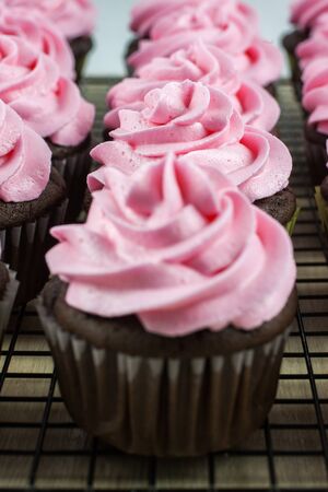Chocolate flavored cupcakes frosted with pink buttercream frosting.の写真素材