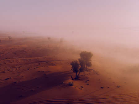 Mist on the Sharjah Desert