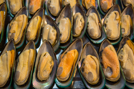 Fresh mussels at the market in Thailandの写真素材