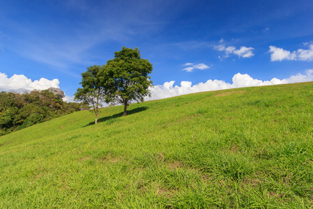 Wide meadow with clouds in blue sky in sunny dayの写真素材