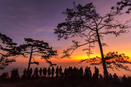Phu Kradueng National Park at Sunrise in Loei Province of thailandの写真素材