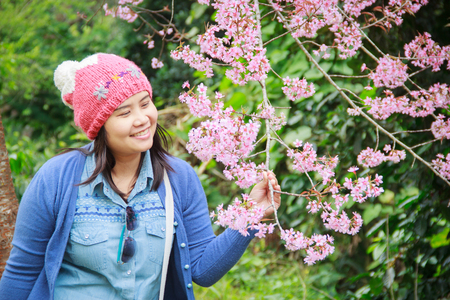Portrait of beautiful Thai woman tourist in a spring cherry blossom garden, Chiang mai.の写真素材