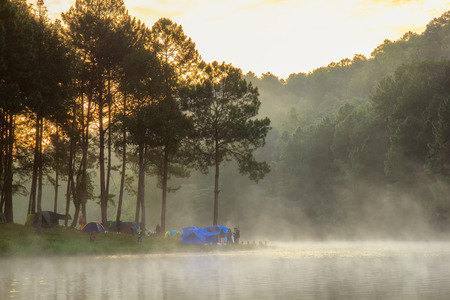 Sunrise at Pang-ung, pine forest park , Mae Hong Son, North of Thailand, edit warm toneの写真素材