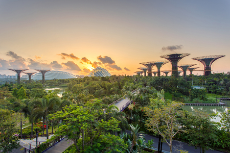 SINGAPORE-JUNE 28,2015: Night view of The Super Tree Grove at Gardens by the Bay in Singapore. Spanning 101 hectares, and five-minute walk from Bayfront MRT Station.のeditorial素材