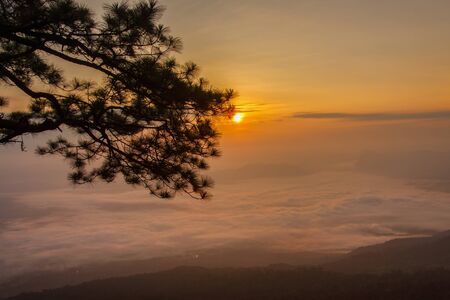 Layer of mountains in the mist at sunrise time at Phu Kradueng National Park, Thailandの写真素材