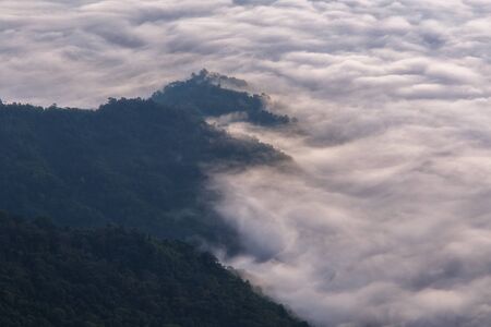 Landscape with the mist at Pha Tung mountain in sunrise time, Chiang Rai, Thailand.
