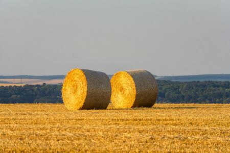 Straw bales stacked in a field at sunset time, Reims, France