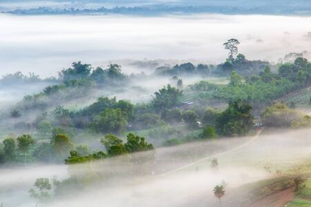 Top views landscape with the mist at Khao Ta Kean Ngo, Khao Kho District, Phetchabun, Thailandの写真素材
