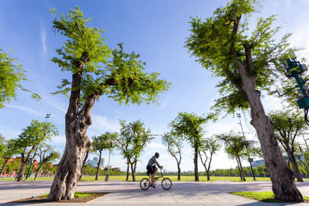 Young man riding a bicycle in a park.の写真素材