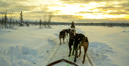 Gliding into the horizon sun by husky tour under sunlight cloud reflection in a snowy afternoon