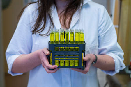 A woman researcher holding fractions of compound collected from column chromatography in a chemistry laboratory for biomediacal researchの写真素材