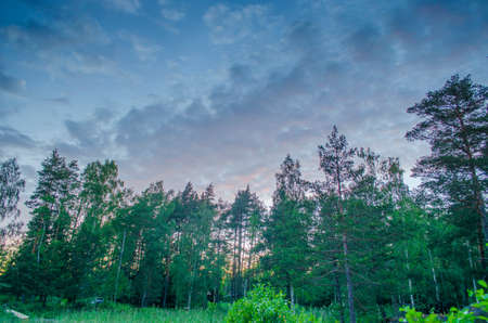 Tranquil cloudscape above the forest side in Sweden during the sunset with orange horizon lineの写真素材