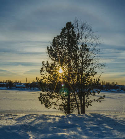 Cold day in a frozen riverside with sunflares through the tree and shadow on the snowの写真素材