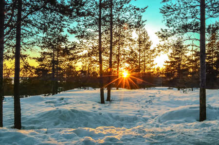 Sunset in the horizon through the woods with beautiful nature around and sunlight flares with reflection from snowの写真素材