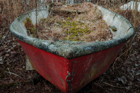 A damaged sunken red boat in a coastline of a lake surrounded by pine tree in a beautiful peaceful summer day in europeの写真素材
