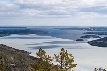 A panoramic view of the snow covered trees in the snowdrifts. Magical winter forest horizon.の写真素材