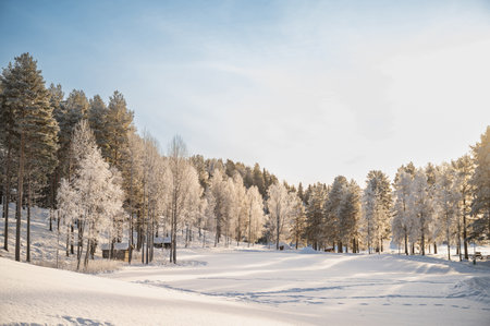 Winter Landscape with snowy Trees and Calm Winter River. Winter Forest On The River At Sunset.の写真素材