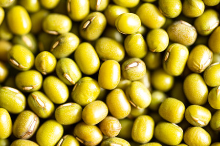 Green Moong Dal.. Macro Close-up of Organic green Gram (Vigna radiata) or whole green moong dal.の写真素材