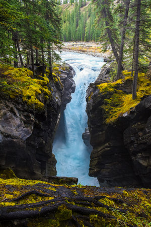 Beautiful natural landscape of mountain covered river. Colorful forest with mountains in background.の写真素材