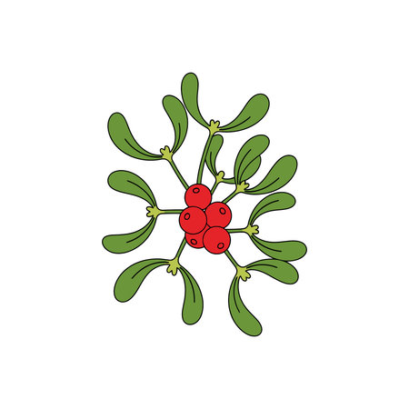 Cartoon illustration of mistletoe featuring red berries clustered together and green leaves arranged symmetrically around the berries.のイラスト素材