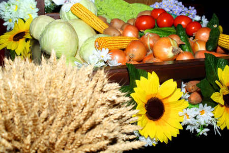 The assortment of vegetable production given at an exhibition of an agricultureの写真素材