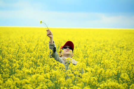 The spring field, blossoming yellow colors, up to the horizon