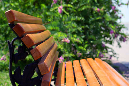 Benchの写真素材