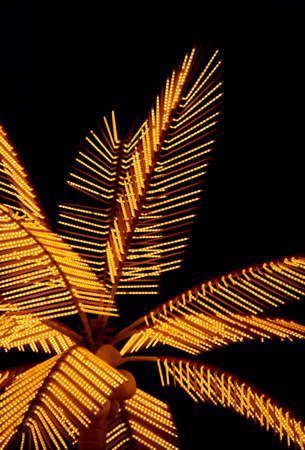 Palm tree decorative with electric illuminationの写真素材