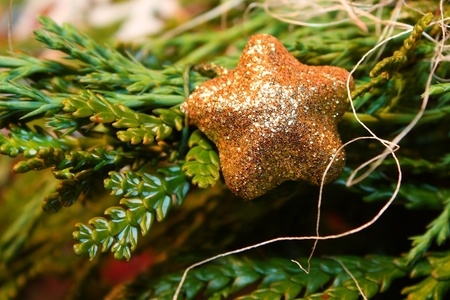 christmass star with green twigの写真素材