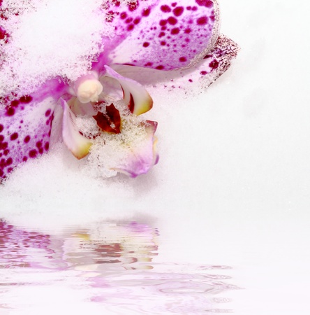 close up of purple orchid on snow background mirrored in the waterの写真素材