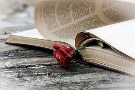 open book on wood desk with roseの写真素材