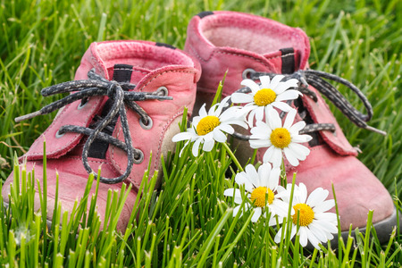 little baby booties in the grass with daisiesの写真素材