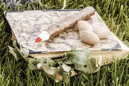 natural wooden pencil and old book with green leaves and nuts in the grass - ecological theme

natural wooden pencil with green leaf の写真素材
