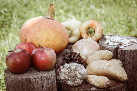 autumn vegetables - pumpkin, paprika, apples, garlic, parsley and potatoesの写真素材