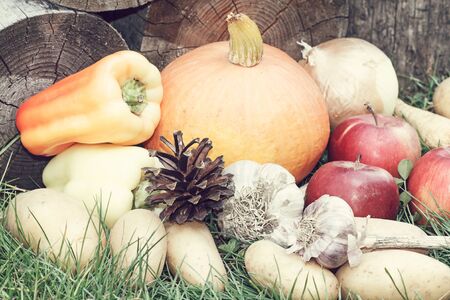 autumn vegetables - pumpkin, apples, potatoes, paprika and garlicの写真素材