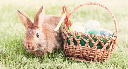 Rabbit with basket of easter eggs on green grass background.